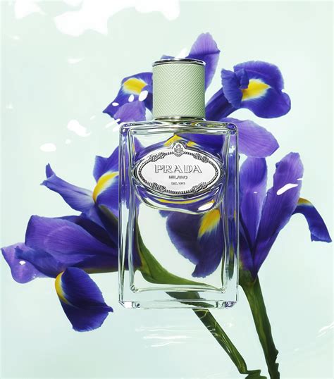 iris prada infusion su basenotes|prada infusion d'iris 100ml.